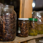 Pine fermentation for rakia